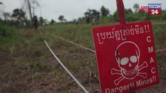 Cambogia, i ratti giganti "fiutano" le mine antiuomo