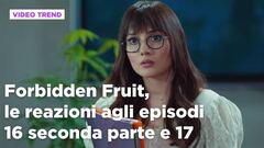 Forbidden Fruit, il riassunto e le reazioni agli episodi 16 seconda parte - 17