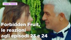 Forbidden Fruit, il riassunto e le reazioni all'episodio 23 e 24