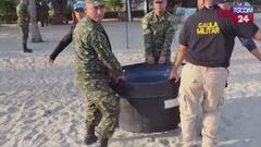 Colombia, giovani tartarughe marine tornano in mare dopo un anno di cure