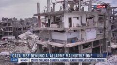 Breaking News delle 14.00 | Gaza, Msf denuncia: allarme malnutrizione
