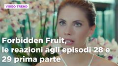 Forbidden Fruit, il riassunto degli episodi 21-29
