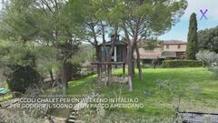 Relax tra le fronde, le case sull'albero che conquistano l'ecoturismo