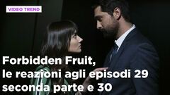 Forbidden Fruit, il riassunto e le reazioni all'episodio 29 seconda parte e 30