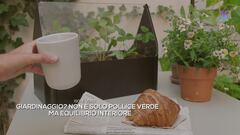 Perché il giardinaggio fa bene anche alla mente