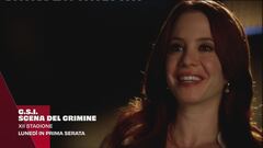 C.S.I. - Scena del crimine