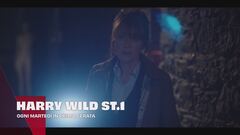 Harry Wild - La signora del delitto