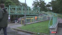 Milano, al parco si scommette sui combattimenti dei galli