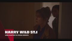 Harry Wild - La signora del delitto