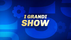 I grandi show di Canale 5