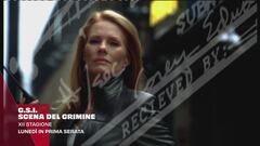 C.S.I. - Scena del crimine