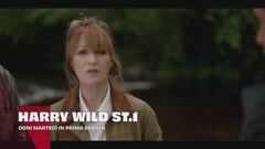 Harry Wild - La signora del delitto