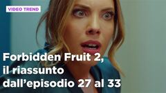 Forbidden Fruit 2, il riassunto degli episodi 27-33