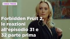 Forbidden Fruit 2, il riassunto e le reazioni agli episodi 31 e 32 prima parte