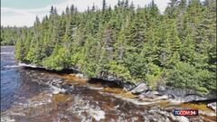 Alaska, le acque del fiume Salmon si colorano d'arancione