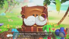 Gli enigmi di Yoshi and the Mysterious Book