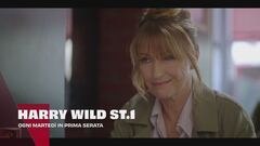 Harry Wild - La signora del delitto