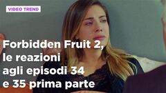 Forbidden Fruit 2, il riassunto e le reazioni agli episodi 34 - 35 prima parte
