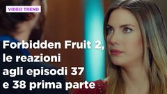 Forbidden Fruit 2, il riassunto e le reazioni agli episodi 37 - 38 prima parte