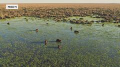 Wild Argentina