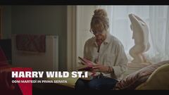 Harry Wild - La signora del delitto