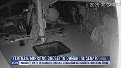 Breaking News delle 14.00 | Flotilla, Ministro Crosetto domani al Senato
