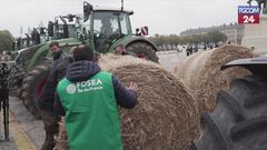 Francia, agricoltori in rivolta a Versailles contro l'accordo Ue-Mercosur