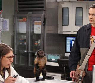 Big bang theory 7