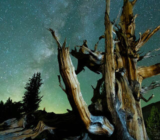 California: un mondo da scoprire