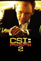 C.S.I. Miami 2