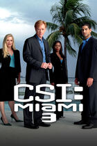 C.S.I. Miami 3