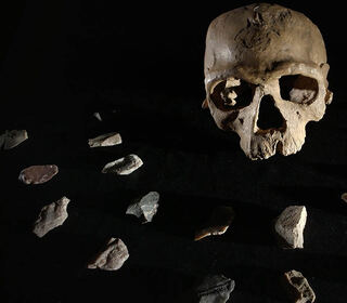 Homo Sapiens - La riscoperta delle origini