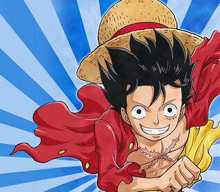 One Piece 12