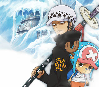 One Piece 14