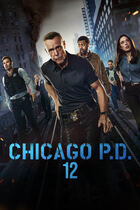 Chicago P.D. 12: prossimamente, in prima visione su Italia 1