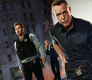 Chicago P.D. 12