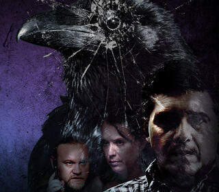 Dark birds