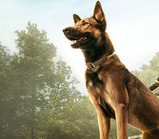 Max