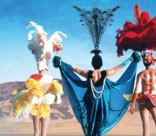 Priscilla, la regina del deserto