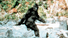 ep.15 - La leggenda del Bigfoot