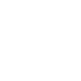 20 logo