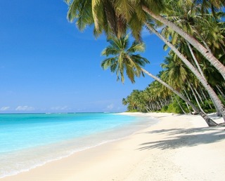 Santuari della natura - Caraibi