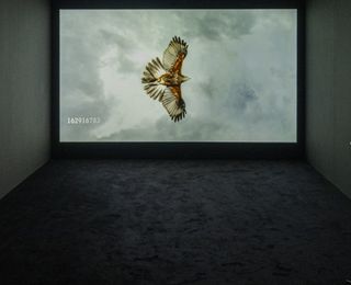 All'Espace Louis Vuitton di Venezia un video invita a interrogarsi sull’identità