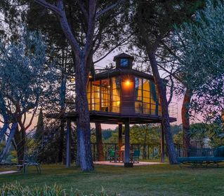 Relax tra le fronde, le case sull'albero che conquistano l'ecoturismo Relax tra le fronde, le case sull'albero che conquistano l'ecoturismo